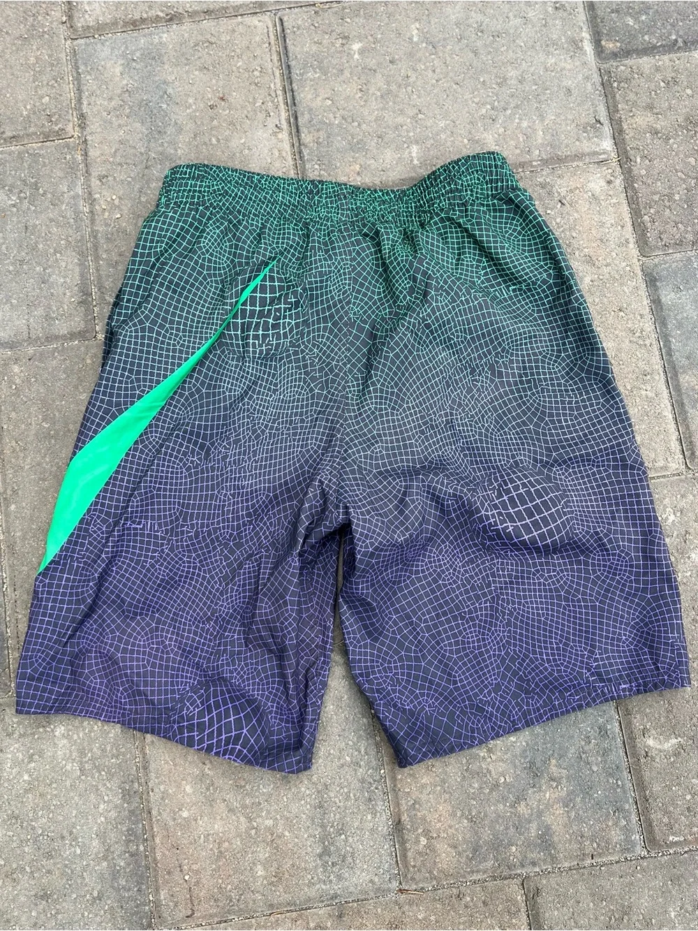 Nike Swim 9 Inch Volley Shorts Men’s Small Lined Swim Trunk Green Purple